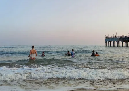 Ocean Reset: Free Community Sea Dip