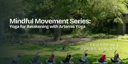 Yoga for Awakening with Artemis Yoga