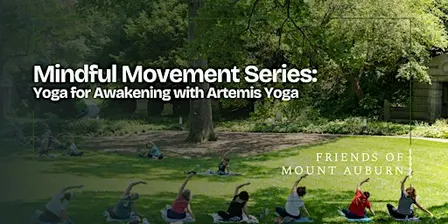 Yoga for Awakening with Artemis Yoga