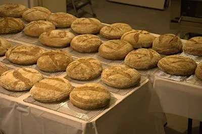 Sourdough Bread Workshop