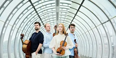 Concert - Fibonacci Quartet, string quartet
