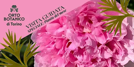 VISITA GUIDATA ORTO BOTANICO DI TORINO La pianta del mese