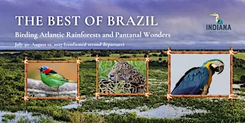 Indiana Audubon 2027 Brazil Birding Tour (second departure)