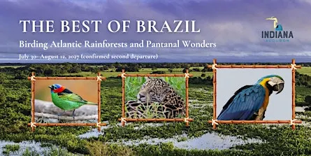 Indiana Audubon 2027 Brazil Birding Tour (second departure)
