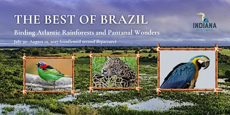 Indiana Audubon 2027 Brazil Birding Tour (second departure)