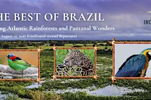 Indiana Audubon 2027 Brazil Birding Tour (second departure)