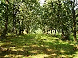 Route 9 Cooperative: Acorn & Chestnut Field Day