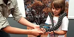 NaturallyGC Kids - Scaly Reptiles