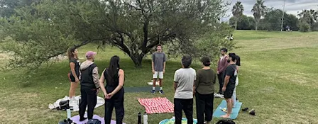 Forest Bathing - Baño de Bosque