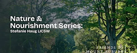 Mindfulness Walk at Mount Auburn