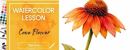 Cone Flower – 2.5 Hr Watercolor Lesson (Ages 12+)