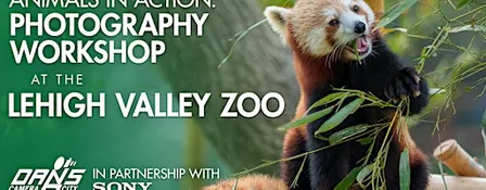 Animal & Wildlife Photography at the Lehigh Valley Zoo