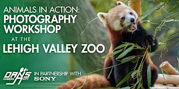 Animal & Wildlife Photography at the Lehigh Valley Zoo