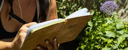 Nature Journaling at Rock Point