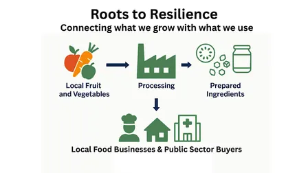 Roots to Resilience - Round Table - Camborne & Redruth Area