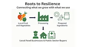 Roots to Resilience - Round Table - Camborne & Redruth Area