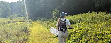 Insect Pollinator Walks at Rock Point