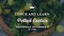 Lunch & Learn: Potted Exotics