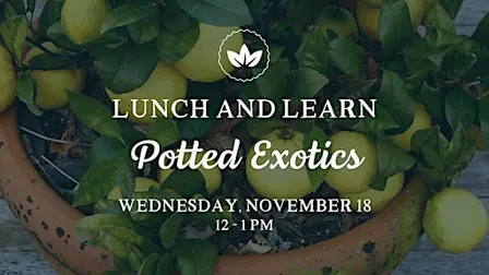 Lunch & Learn: Potted Exotics