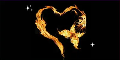 Holy Fire® Reiki Level 2 Training