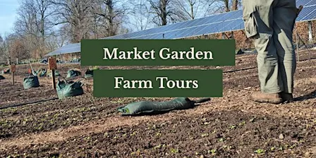 Market Garden Farm Tour