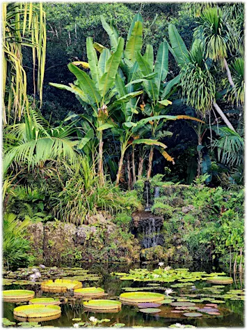11th Independent Plant Breeders Conference