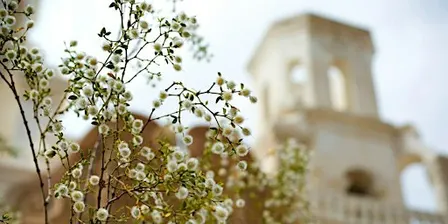 Composition in the Field - Photography Workshop