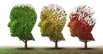 IDEA! Strategy: Behaviors & Alzheimer's w/ Holiday Emphasis