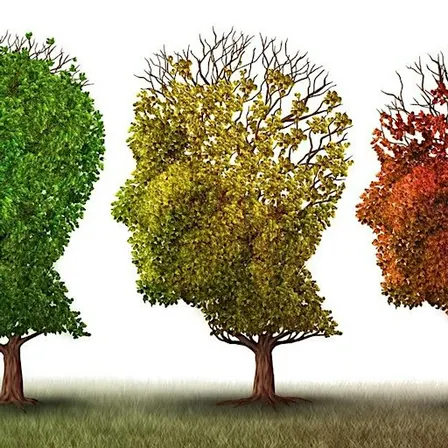 IDEA Strategy: Behaviors & Alzheimer's (in person, Green Valley)