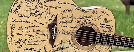 Acoustic Guitar Project