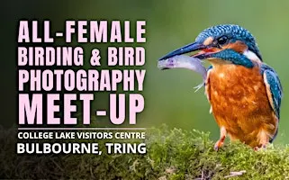 All-Female Birding & Bird Photography Morning