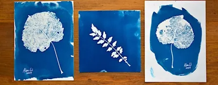 SOLD OUT: Botanical Cyanotype Printmaking