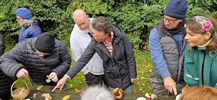 Autumn Foraging Course
