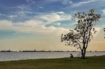East Coast Park Walk