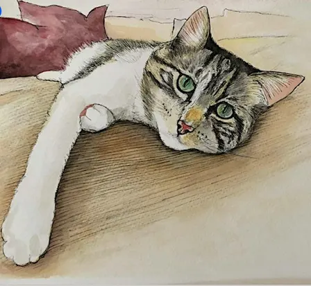 Paint your Pet in Watercolour and Ink Workshop