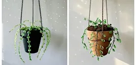 Beaded Plant Class