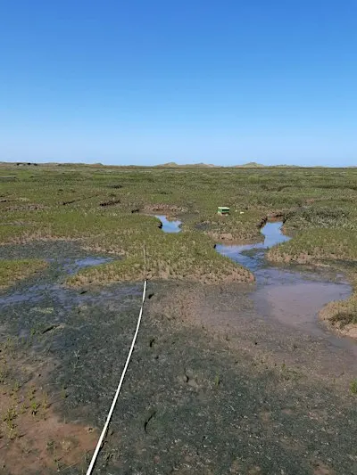 Microplastics – an unseen threat to Norfolk saltmarshes? (NB. date change)