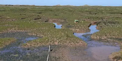 Microplastics – an unseen threat to Norfolk saltmarshes? (NB. date change)