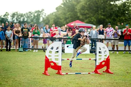 Championship Hobby Horse Competition