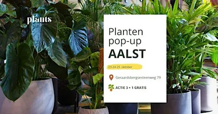 PLANTS MARKET Pop-up AALST