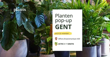 PLANTS MARKET Pop-up GENT