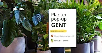 PLANTS MARKET Pop-up GENT