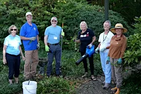 Peace in Bloom: Meditation Garden Clean Up