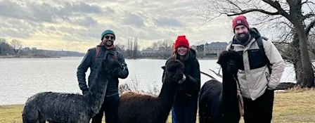 Potsdam Alpaca Hike: Historic Parks, Palaces and Lakeside Brewery