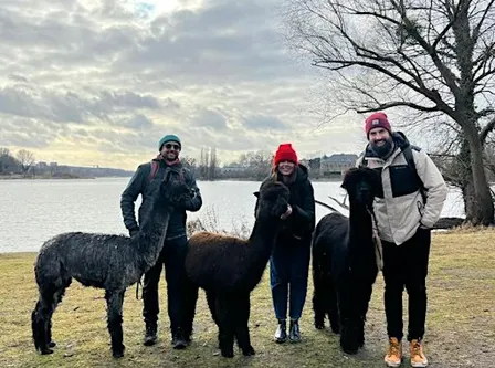Potsdam Alpaca Hike: Historic Parks, Palaces and Lakeside Brewery
