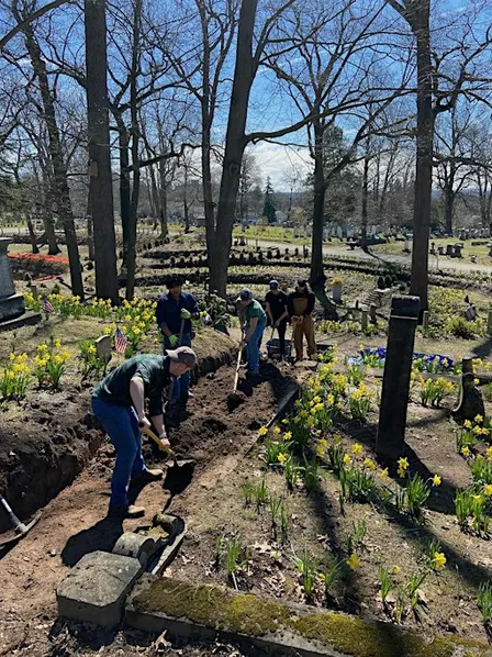Planting and restoration at the Daffodil Project