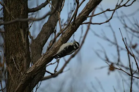 Waterwise Birding Walk
