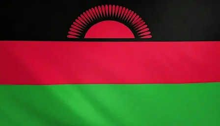 Embassy of Malawi Reception - Safari and Rare Earth Minerals