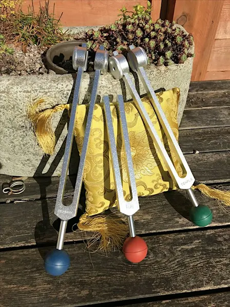 Introduction to Tuning Forks