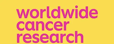 leahs worldwide cancer research charity fundraiser